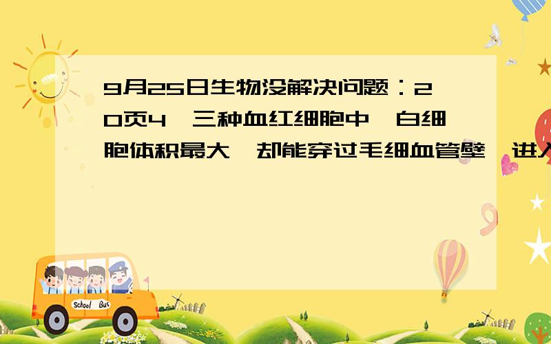 9月25日生物没解决问题：20页4,三种血红细胞中,白细胞体积最大,却能穿过毛细血管壁,进入组织液中,吞噬侵入人体内的病菌,白细胞完成这两项生理活动是依靠A 变形运动和细胞膜的选择透过