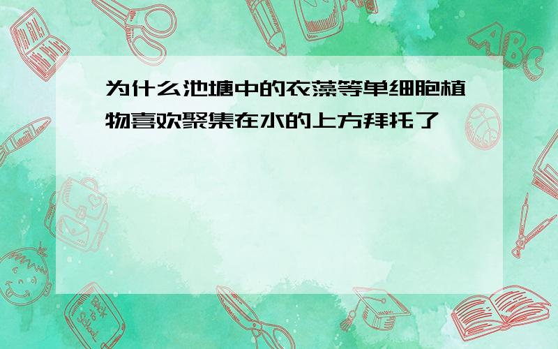 为什么池塘中的衣藻等单细胞植物喜欢聚集在水的上方拜托了