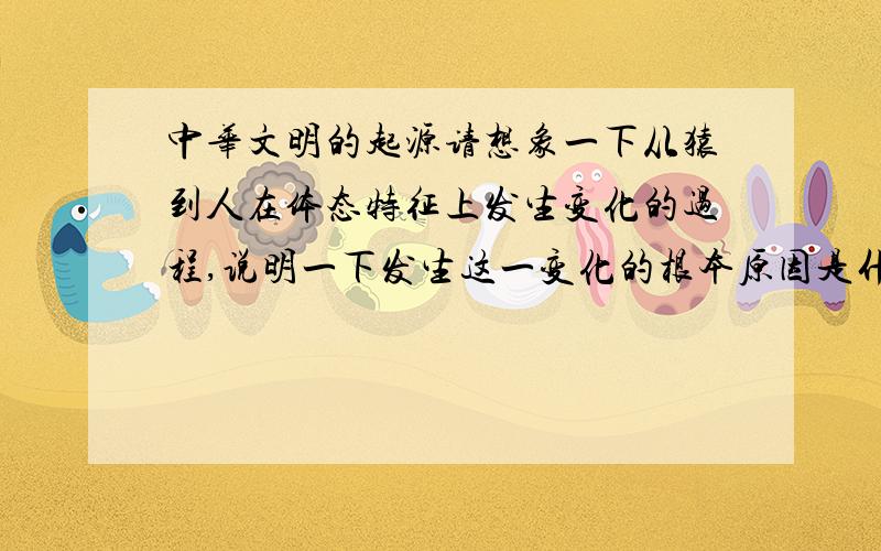 中华文明的起源请想象一下从猿到人在体态特征上发生变化的过程,说明一下发生这一变化的根本原因是什么?