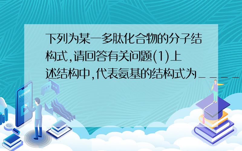 下列为某一多肽化合物的分子结构式,请回答有关问题(1)上述结构中,代表氨基的结构式为___________；代表肽键的结构式为_____________；其中________、_________为R基.(2)上述化合物是由___种氨基酸组