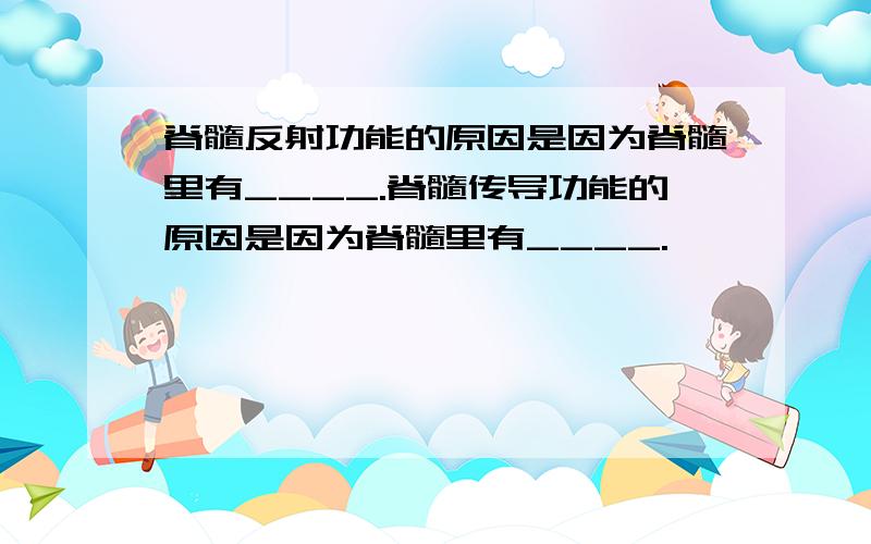 脊髓反射功能的原因是因为脊髓里有____.脊髓传导功能的原因是因为脊髓里有____.