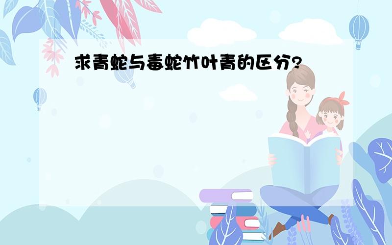 求青蛇与毒蛇竹叶青的区分?