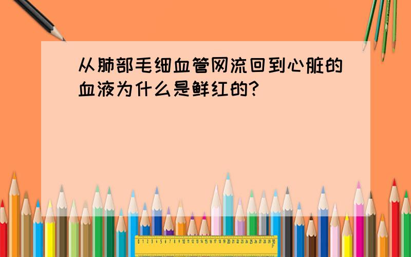 从肺部毛细血管网流回到心脏的血液为什么是鲜红的?