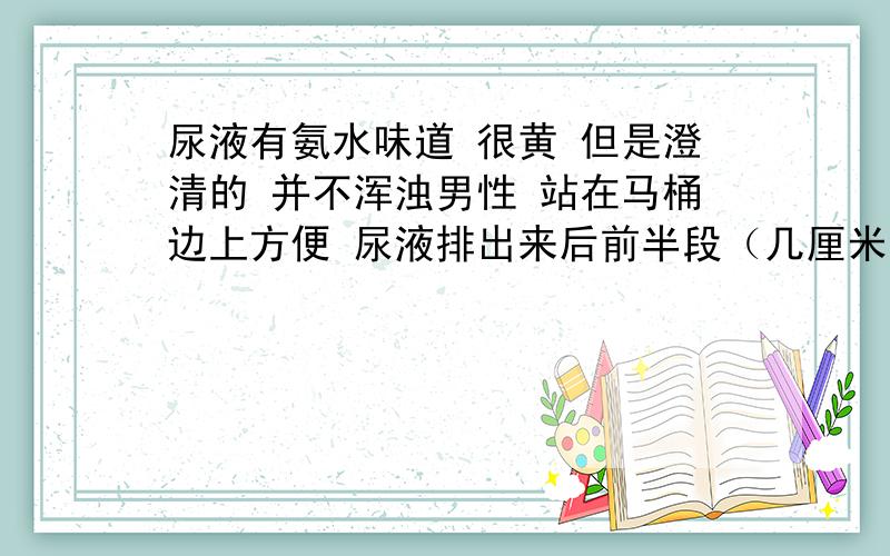 尿液有氨水味道 很黄 但是澄清的 并不浑浊男性 站在马桶边上方便 尿液排出来后前半段（几厘米吧）深黄 后面慢慢变浅 但是总体还是挺黄的 比啤酒深一点 气味也比较重 是因为憋得时间长