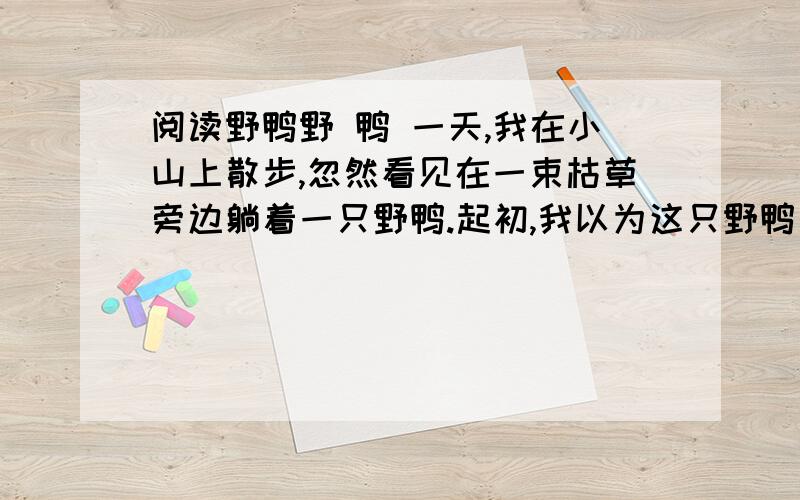 阅读野鸭野 鸭 一天,我在小山上散步,忽然看见在一束枯草旁边躺着一只野鸭.起初,我以为这只野鸭是害怕被人发现,故意藏在那儿的,就用树枝轻轻地（拨、拔）了她一下,想叫她站起来,可是她