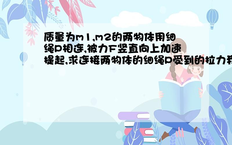 质量为m1,m2的两物体用细绳P相连,被力F竖直向上加速提起,求连接两物体的细绳P受到的拉力我描述一下图片,m1与m2相连,m1物体在上,被竖直力F拉起,m2被P绳子连接,竖直在下