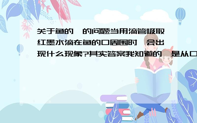 关于鱼的鳃的问题当用滴管吸取红墨水滴在鱼的口周围时,会出现什么现象?其实答案我知道的,是从口里面进去,从鳃里排出,可是鳃耙不是把水中杂质过滤了吗?怎么还会从鳃里排出来的?