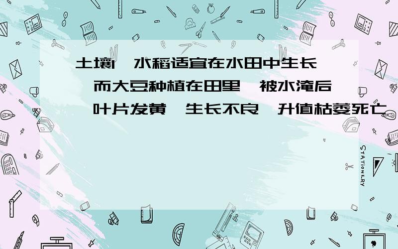 土壤1、水稻适宜在水田中生长,而大豆种植在田里,被水淹后,叶片发黄,生长不良,升值枯萎死亡,为什么?2、有人认为青紫泥适种稻,小粉土（大多分布在沿海滩涂上）宜栽麻,壤土类土壤长好菜.