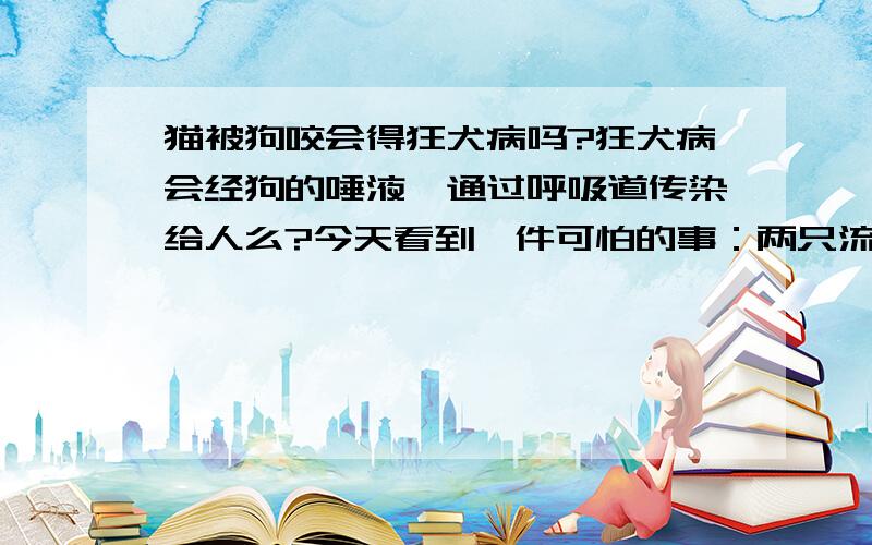 猫被狗咬会得狂犬病吗?狂犬病会经狗的唾液,通过呼吸道传染给人么?今天看到一件可怕的事：两只流浪狗撕咬一只流浪猫.把狗赶跑,猫抱回来了.应该没生命危险,伤口不深,血也不流了,不过面