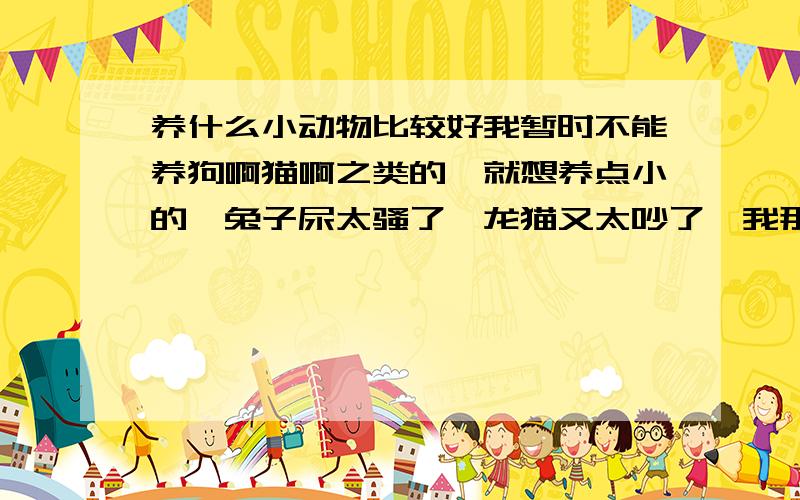 养什么小动物比较好我暂时不能养狗啊猫啊之类的,就想养点小的,兔子尿太骚了,龙猫又太吵了,我那时候养的是仓鼠,晚上咬笼子磨牙的声音简直吃不消,我喜欢毛茸茸的小动物,所以不要推荐乌