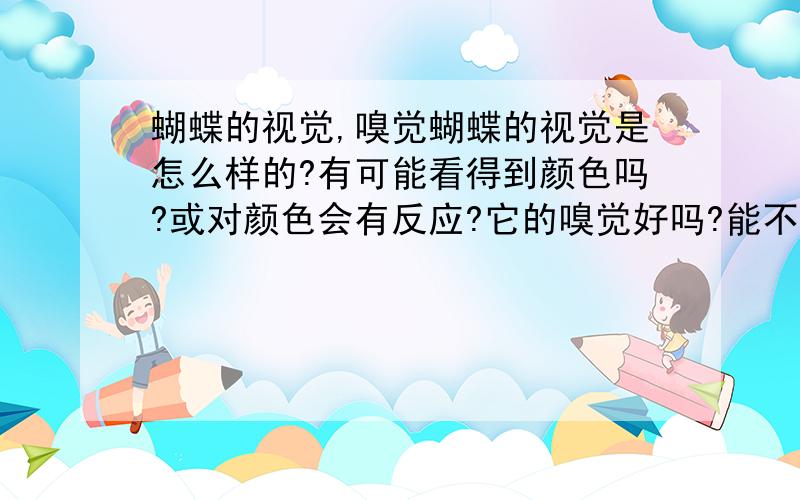 蝴蝶的视觉,嗅觉蝴蝶的视觉是怎么样的?有可能看得到颜色吗?或对颜色会有反应?它的嗅觉好吗?能不能闻到香味?