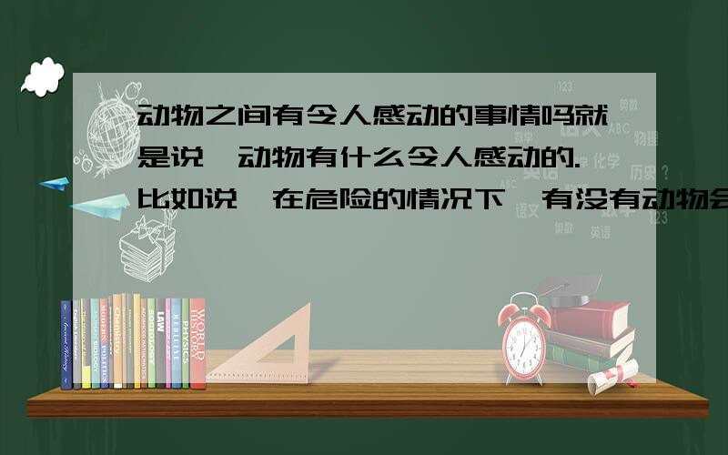 动物之间有令人感动的事情吗就是说,动物有什么令人感动的.比如说,在危险的情况下,有没有动物会做出令人感动的事情.(不要故事,要真实的,比如通过什么研究或观察得出的结果)