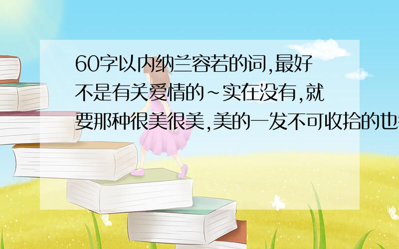 60字以内纳兰容若的词,最好不是有关爱情的~实在没有,就要那种很美很美,美的一发不可收拾的也行~