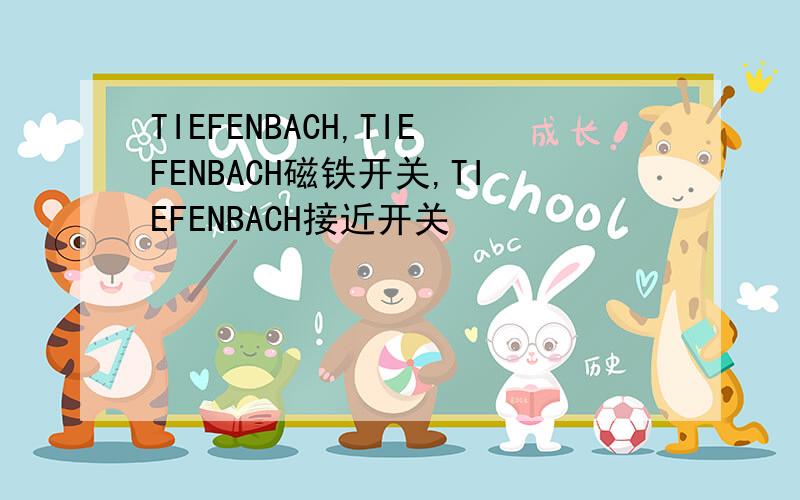 TIEFENBACH,TIEFENBACH磁铁开关,TIEFENBACH接近开关