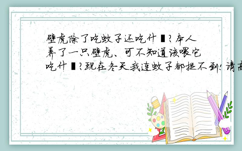 壁虎除了吃蚊子还吃什麽?本人养了一只壁虎、可不知道该喂它吃什麽?现在冬天我连蚊子都捉不到!请高人指教…