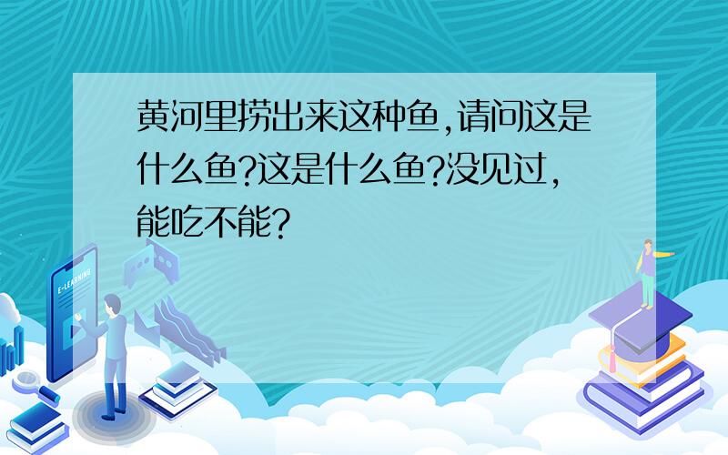 黄河里捞出来这种鱼,请问这是什么鱼?这是什么鱼?没见过,能吃不能?