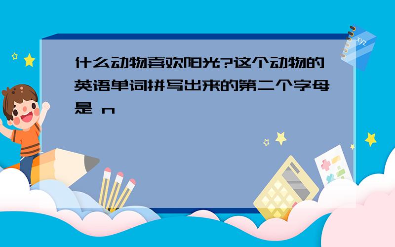 什么动物喜欢阳光?这个动物的英语单词拼写出来的第二个字母是 n