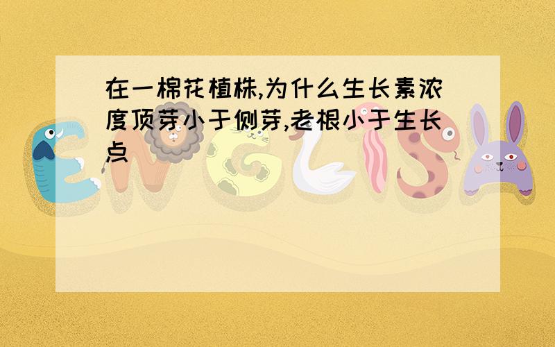 在一棉花植株,为什么生长素浓度顶芽小于侧芽,老根小于生长点