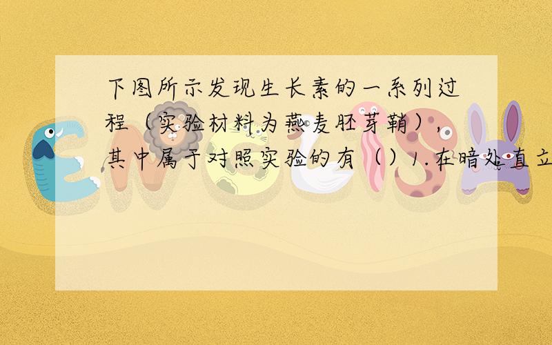 下图所示发现生长素的一系列过程（实验材料为燕麦胚芽鞘）,其中属于对照实验的有（）1.在暗处直立生长 2.弯向光源生长 3.去掉尖端后不生长不弯曲 4.将放过尖端的琼脂块放在胚芽鞘的一