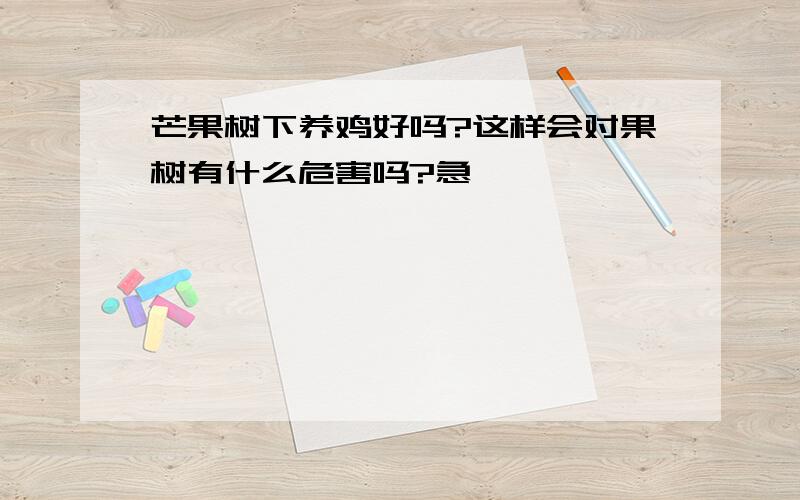 芒果树下养鸡好吗?这样会对果树有什么危害吗?急