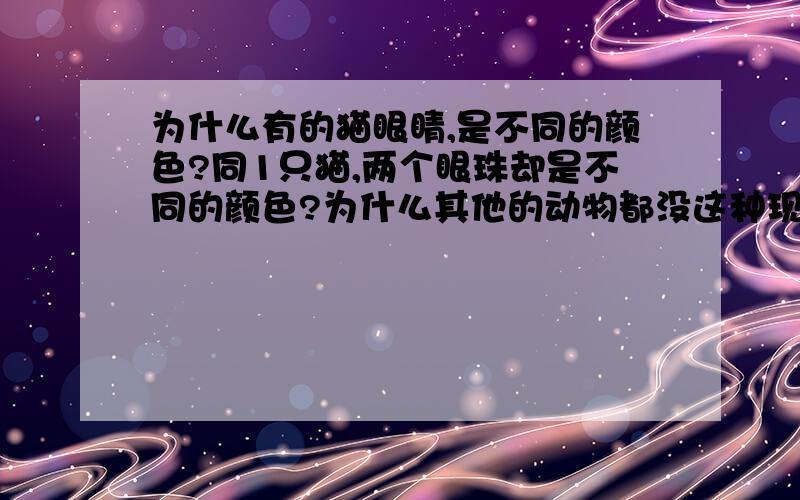 为什么有的猫眼睛,是不同的颜色?同1只猫,两个眼珠却是不同的颜色?为什么其他的动物都没这种现象呢?至少是我见过的动物.