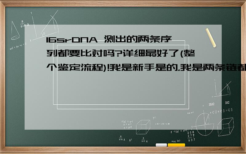 16srDNA 测出的两条序列都要比对吗?详细最好了(整个鉴定流程)!我是新手是的，我是两条链都测序，就是生工所谓的“测通”。现在就是不知道怎样拼接，因为我两条分别去blast结果有很大的