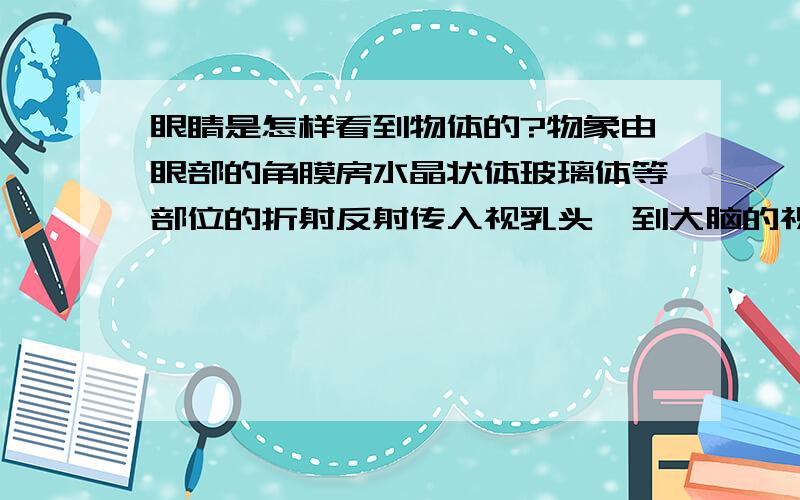 眼睛是怎样看到物体的?物象由眼部的角膜房水晶状体玻璃体等部位的折射反射传入视乳头,到大脑的视神经,最后在大脑皮层成象