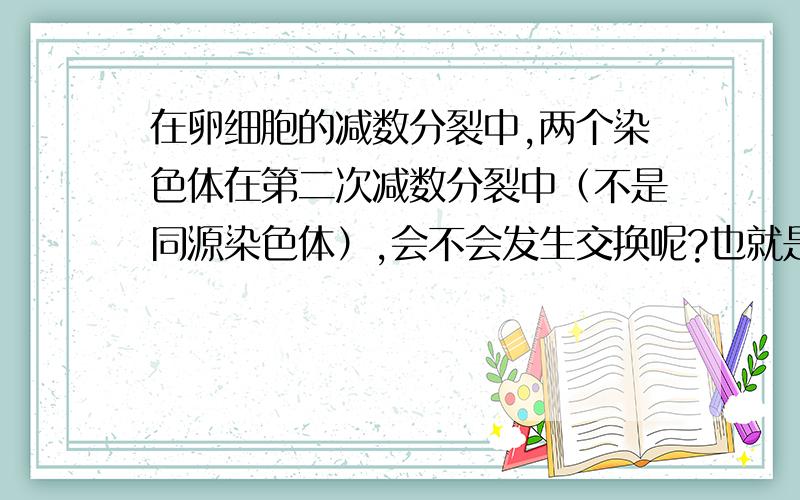 在卵细胞的减数分裂中,两个染色体在第二次减数分裂中（不是同源染色体）,会不会发生交换呢?也就是说,有丝分裂中,只有有共同的着丝点的两个染色体才可以交换吗?