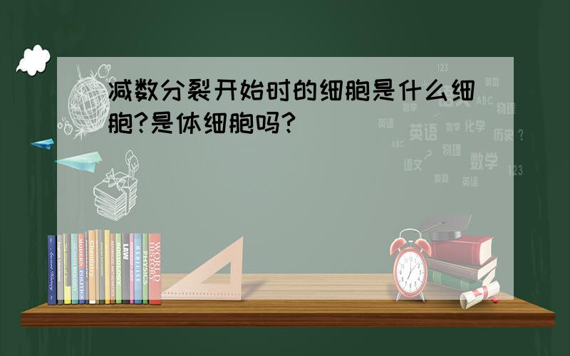 减数分裂开始时的细胞是什么细胞?是体细胞吗?