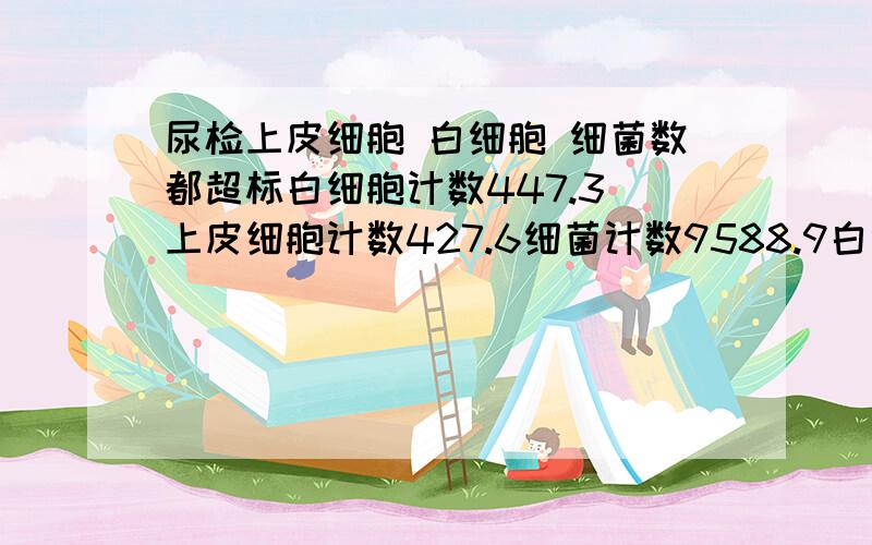 尿检上皮细胞 白细胞 细菌数都超标白细胞计数447.3 上皮细胞计数427.6细菌计数9588.9白细胞LEU ++ERY潜血+这是07年年底查的结果 当时有宫颈糜烂一期 后来治好了 家里曾有两个直系亲人死于肾病