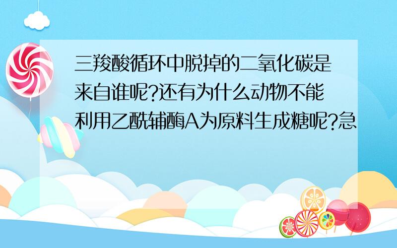 三羧酸循环中脱掉的二氧化碳是来自谁呢?还有为什么动物不能利用乙酰辅酶A为原料生成糖呢?急