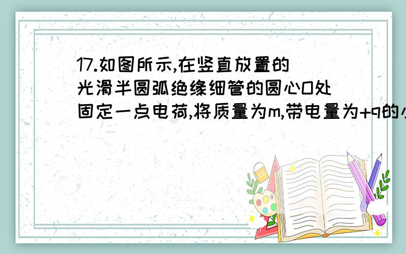 17.如图所示,在竖直放置的光滑半圆弧绝缘细管的圆心O处固定一点电荷,将质量为m,带电量为+q的小球从圆弧管的水平直径端点A由静止释放,小球沿细管滑到最低点B时,对管壁恰好无压力,则固定