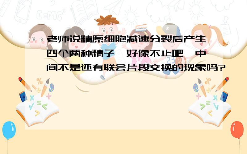 老师说精原细胞减速分裂后产生四个两种精子,好像不止吧,中间不是还有联会片段交换的现象吗?