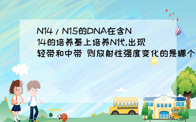 N14/N15的DNA在含N14的培养基上培养N代,出现轻带和中带 则放射性强度变化的是哪个