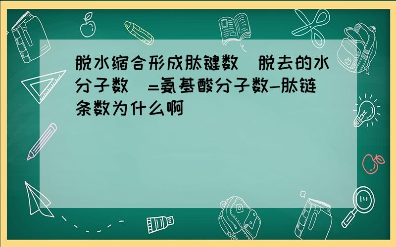 脱水缩合形成肽键数(脱去的水分子数)=氨基酸分子数-肽链条数为什么啊