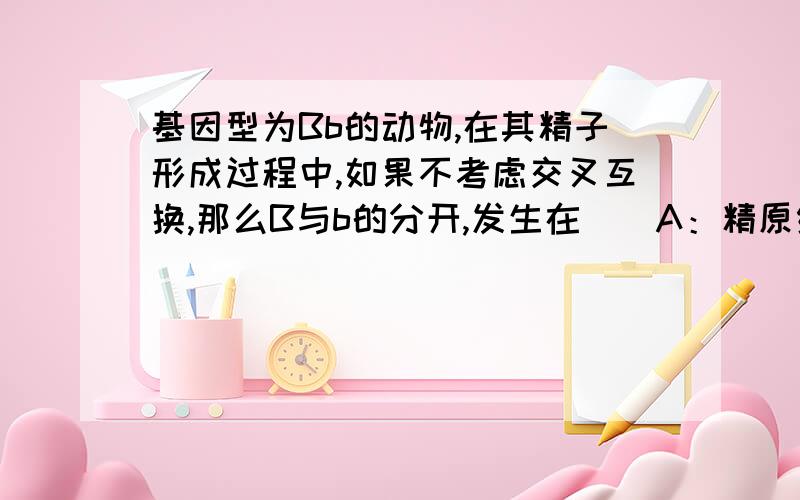 基因型为Bb的动物,在其精子形成过程中,如果不考虑交叉互换,那么B与b的分开,发生在（）A：精原细胞形成初级精母细胞B：初级精母细胞形成次级精母细胞C：次级精母细胞形成精细胞D：精细