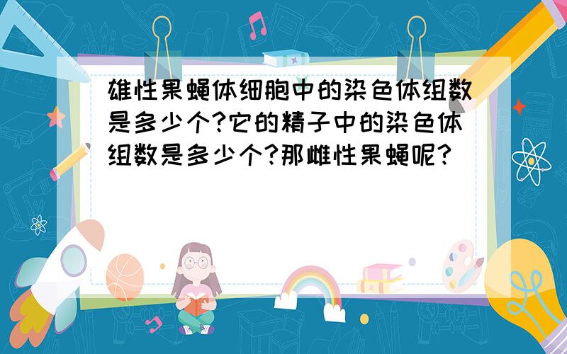 雄性果蝇体细胞中的染色体组数是多少个?它的精子中的染色体组数是多少个?那雌性果蝇呢?