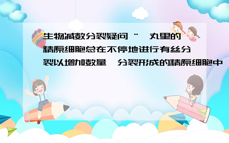 生物减数分裂疑问 “睾丸里的精原细胞总在不停地进行有丝分裂以增加数量,分裂形成的精原细胞中,有一部生物减数分裂疑问 “睾丸里的精原细胞总在不停地进行有丝分裂以增加数量,分裂