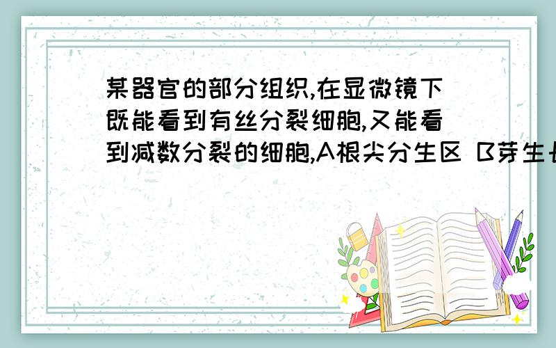 某器官的部分组织,在显微镜下既能看到有丝分裂细胞,又能看到减数分裂的细胞,A根尖分生区 B芽生长点 C子房壁 D花药.