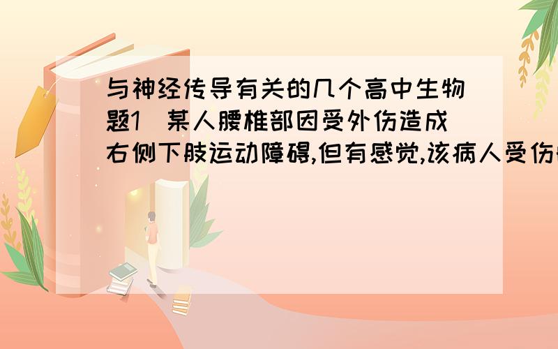 与神经传导有关的几个高中生物题1`某人腰椎部因受外伤造成右侧下肢运动障碍,但有感觉,该病人受伤的部位①传入神经 ②传出神经 ③感受器 ④神经中枢 ⑤效应器A ②④B ①④C ①②D ②⑤2`