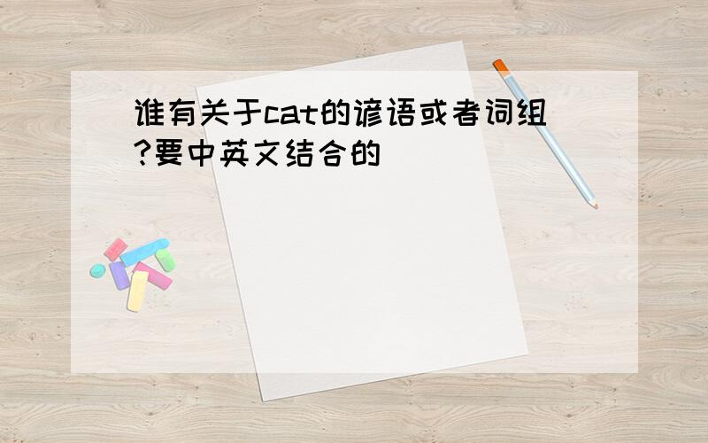 谁有关于cat的谚语或者词组?要中英文结合的