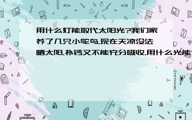 用什么灯能取代太阳光?我们家养了几只小鸵鸟，现在天凉没法晒太阳，补钙又不能充分吸收，用什么光能代替太阳光呢？