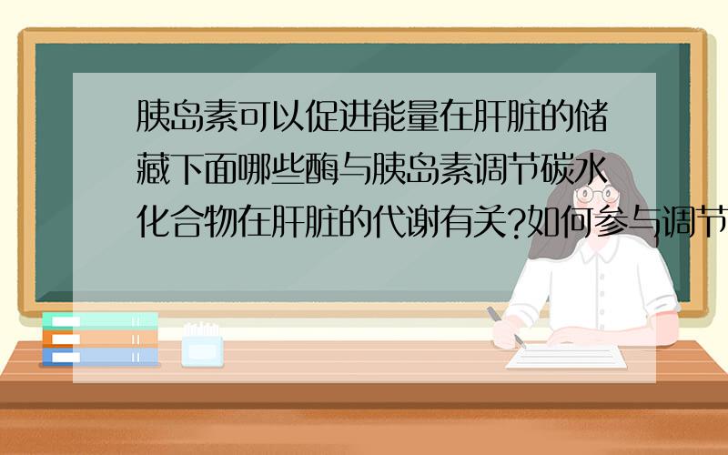 胰岛素可以促进能量在肝脏的储藏下面哪些酶与胰岛素调节碳水化合物在肝脏的代谢有关?如何参与调节?1.糖原合成酶2.糖原磷酸化酶3.果糖磷酸化激酶14.果糖磷酸化激酶25.丙酮酸激酶.请大家