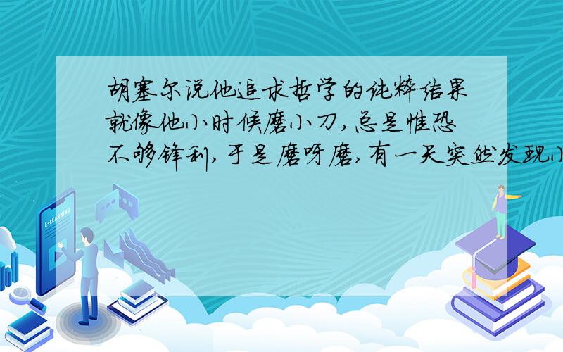 胡塞尔说他追求哲学的纯粹结果就像他小时候磨小刀,总是惟恐不够锋利,于是磨呀磨,有一天突然发现小刀磨没有了.