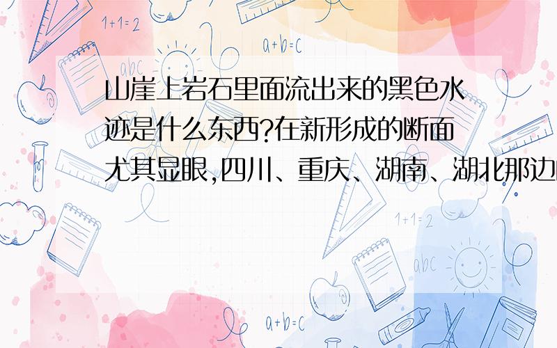 山崖上岩石里面流出来的黑色水迹是什么东西?在新形成的断面尤其显眼,四川、重庆、湖南、湖北那边的山上都有.