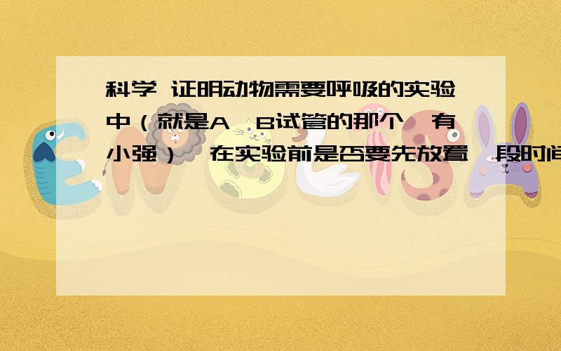 科学 证明动物需要呼吸的实验中（就是A,B试管的那个,有小强）,在实验前是否要先放置一段时间.在B（没有小强）试管中,监事会会吸收空气中的CO2吗?如果会,那么是否应该放置一段时间在实