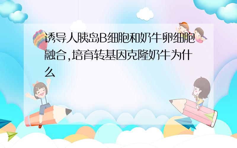 诱导人胰岛B细胞和奶牛卵细胞融合,培育转基因克隆奶牛为什么