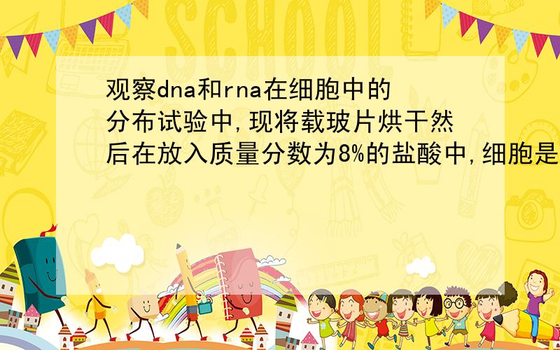 观察dna和rna在细胞中的分布试验中,现将载玻片烘干然后在放入质量分数为8%的盐酸中,细胞是否已经死亡?如果细胞已经死亡,细胞膜应该为全透性,那么盐酸就应该不能改变细胞膜的通透性了.