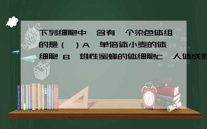 下列细胞中,含有一个染色体组的是（ ）A、单倍体小麦的体细胞 B、雄性蜜蜂的体细胞C、人体成熟的红细胞 D、白化玉米幼苗的体细胞A为什么不是?虽然小麦是六倍体 但题目不是告诉了是单