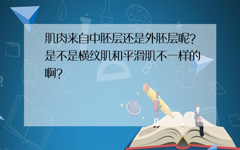 肌肉来自中胚层还是外胚层呢?是不是横纹肌和平滑肌不一样的啊?